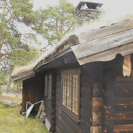 Lusaeter Timber Cabins Heidal Dış mekan fotoğraf