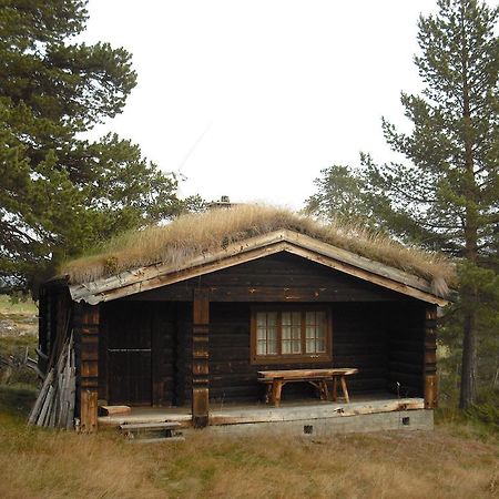 Lusaeter Timber Cabins Heidal Oda fotoğraf