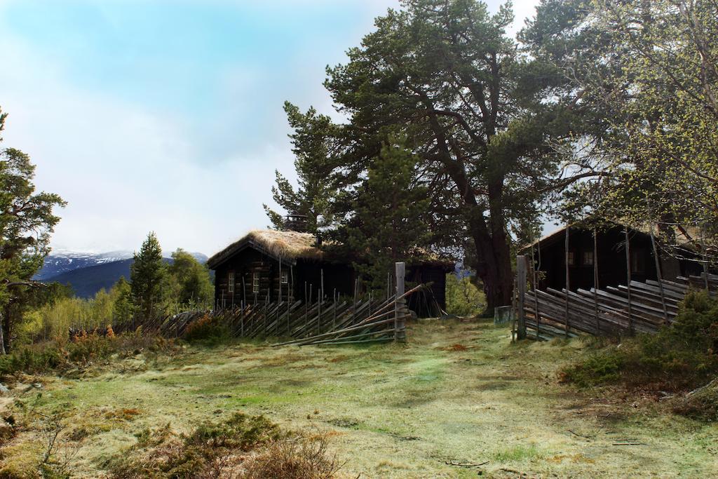 Lusaeter Timber Cabins Heidal Dış mekan fotoğraf
