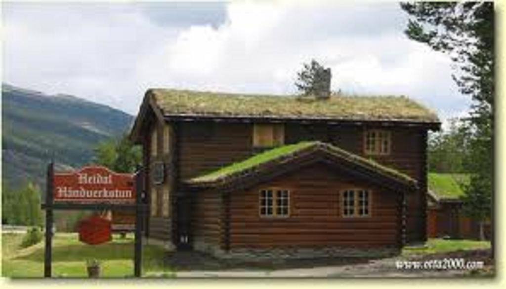 Lusaeter Timber Cabins Heidal Dış mekan fotoğraf