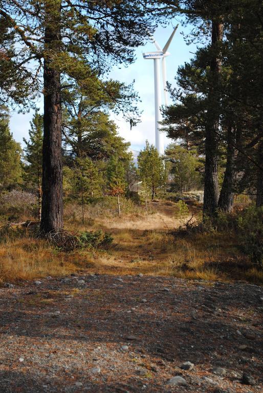 Lusaeter Timber Cabins Heidal Dış mekan fotoğraf